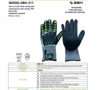 SBH-211_page-0001